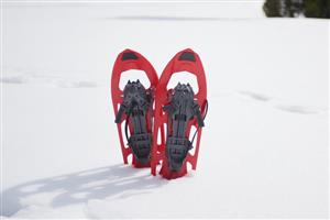 A pair of snowshoes sticking out of the snow